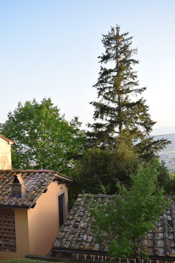 La Casa Sui Colli Villa Uzzano Bagian luar foto